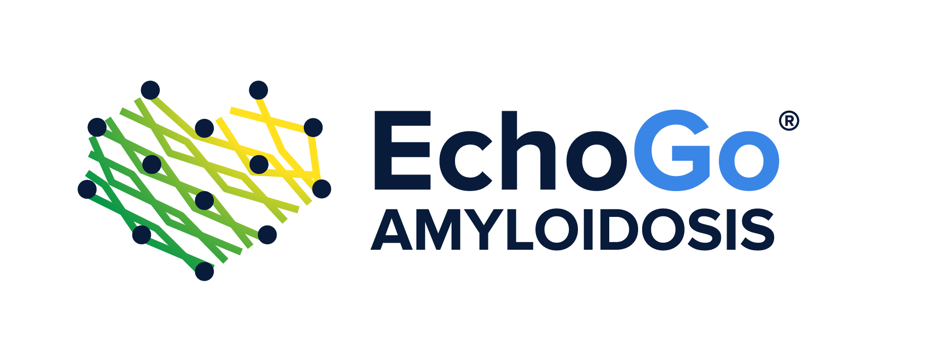 EchoGo Amyloidosis logo, horizontal lockup